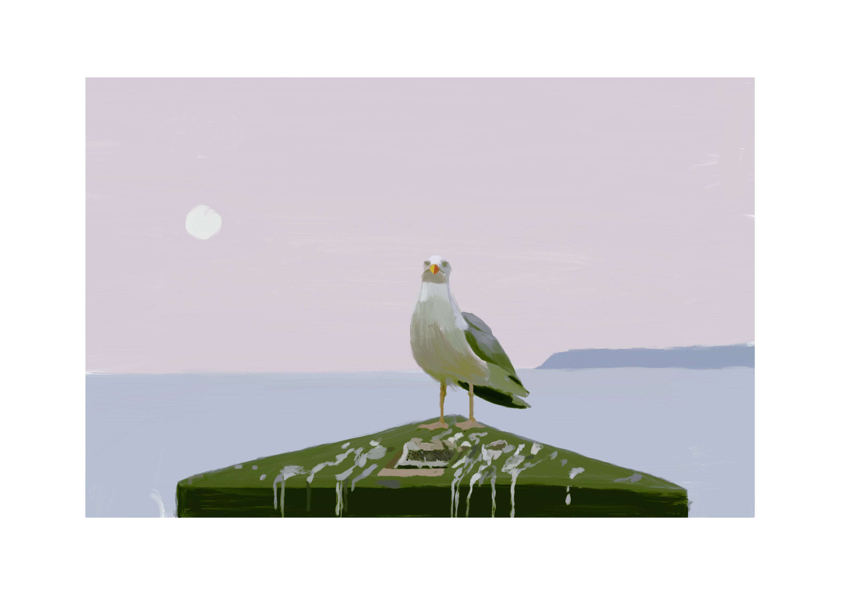 Another Seagull print by Christy Taylor